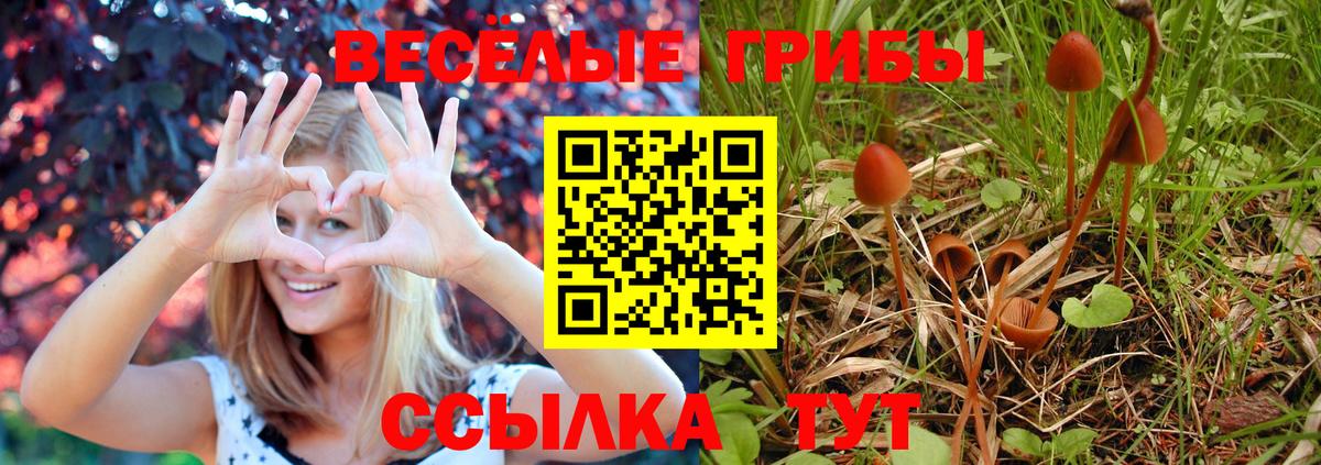 Псилоцибиновые грибы мухоморы  наркота  Приморско-Ахтарск  Псилоцибиновые грибы прущие грибы  Вход с VPN 
